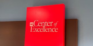 Empowering Professionals Through Brandplay’s Center Of Excellence