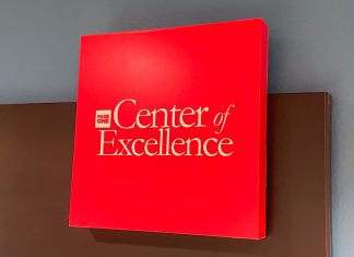 Empowering Professionals Through Brandplay’s Center Of Excellence