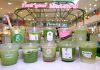 All for You Matcha Madness Hits SM Supermalls